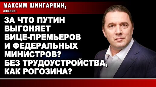 Максим Шингаркин, эколог: За что Путин выгоняет вице-премьеров и федеральных министров? Без трудоустройства, как Рогозина?