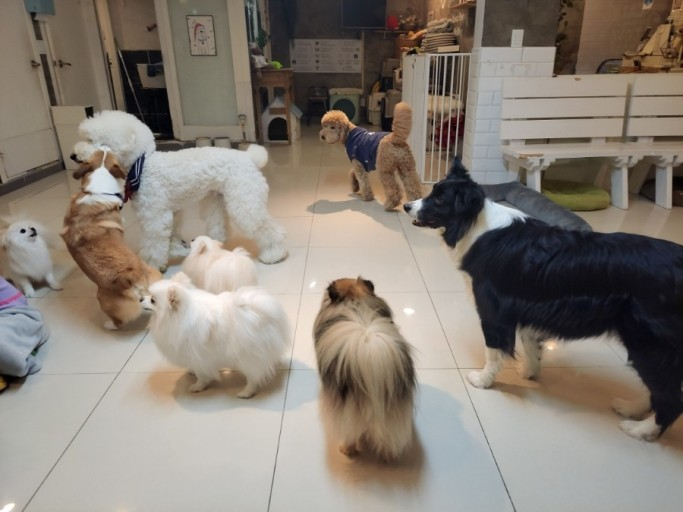 Добавьте описание