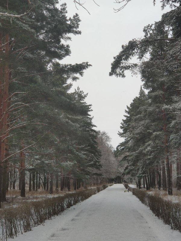 Парк возле моего дома. Снято во время вчерашней прогулки.