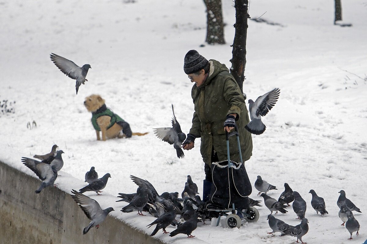 Выплаты носят ежемесячный характер.  Фото: Фото: Cristian Cristel / XinHua / globallookpress.com