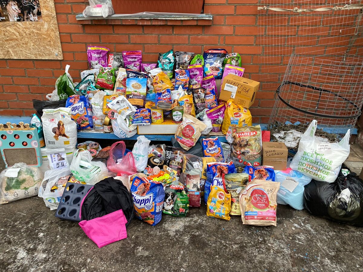 Собранный корм для животных 