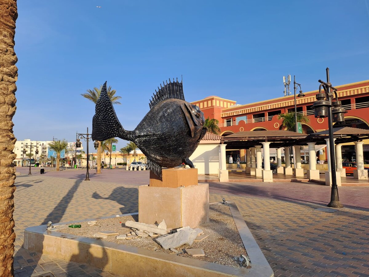 Моё фото для Дзен. Хургада, февраль.