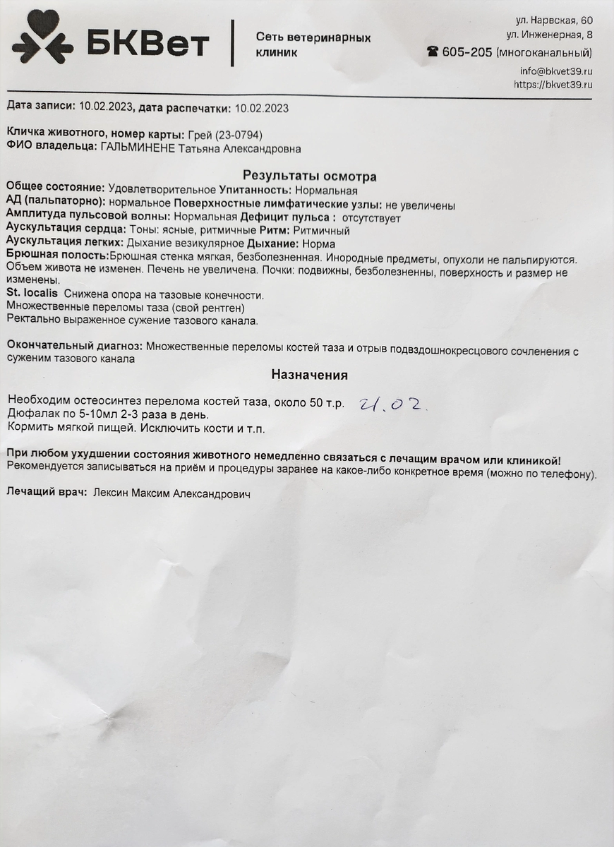 Выписка Грея с диагнозом и примерной стоимостью операции