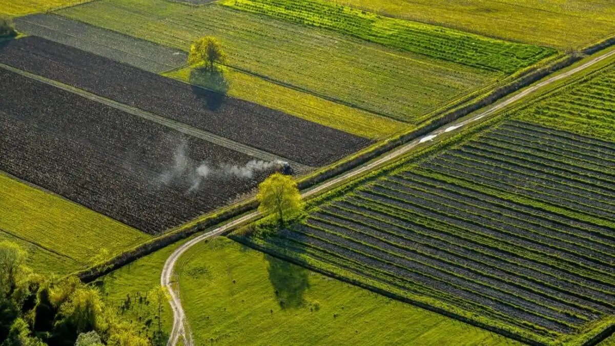 Фото:pinimg.com В России возникла крайняя необходимость создания нормативно-правовой базы, четко регламентирующей использование земельного банка.