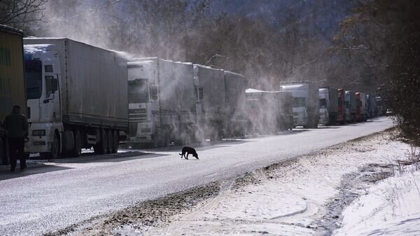    © photo: Sputnik / Alexander Imedashvili