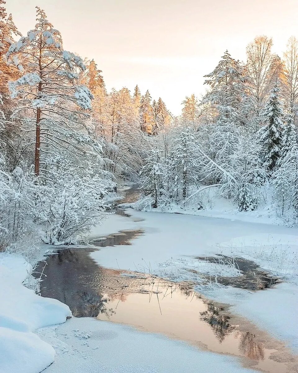 ������ �������