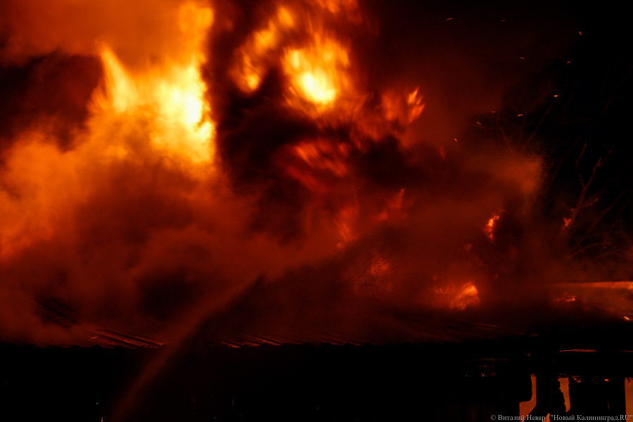 Фото: Виталий Невар / Новый Калининград