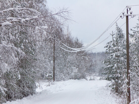     Фото: архив ПЛН