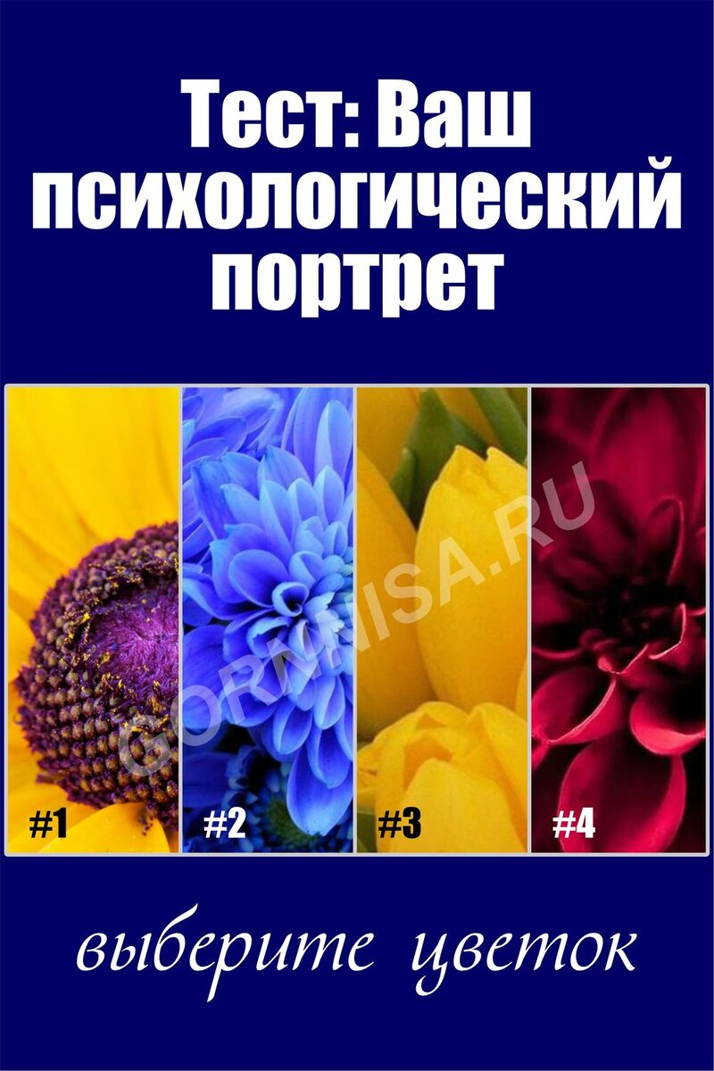    Тест: Ваш психологический портрет — выберите цветок Pavlov A