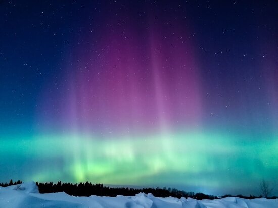     фото со страницы "Подслушано в Ярославле" ВК