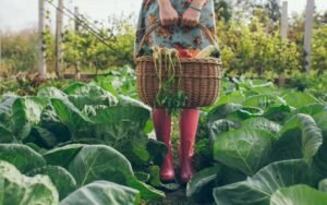    Фото: ShutterStock.com Роман Янышев