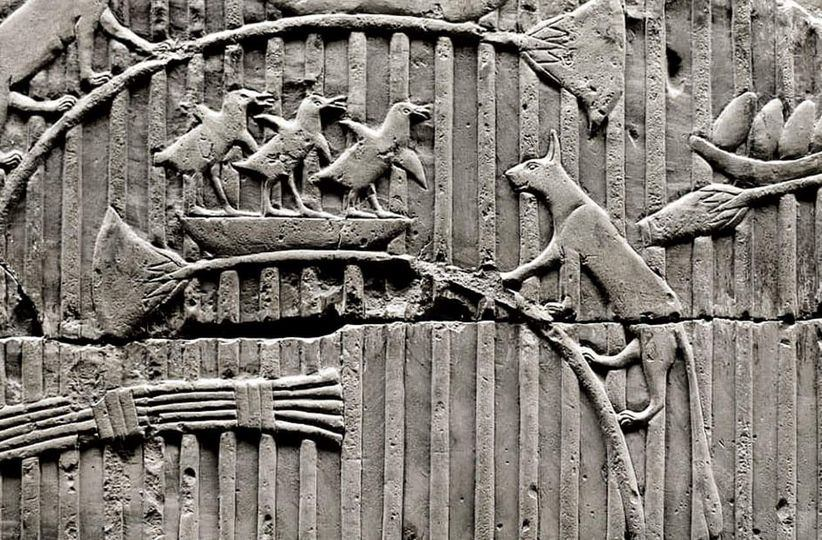 Древние рельефы. Египетские рельефы кошки. Кошки в Египте до нашей эры. Древние изображения компьютера. 2500 Лет до нашей эры