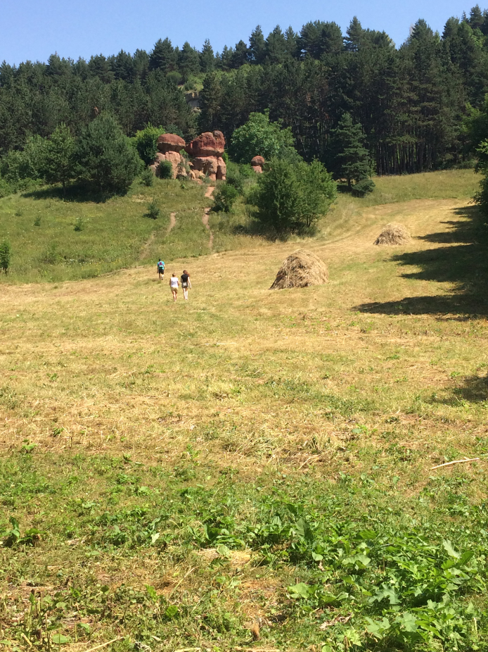 Красные грибы, июль 2020