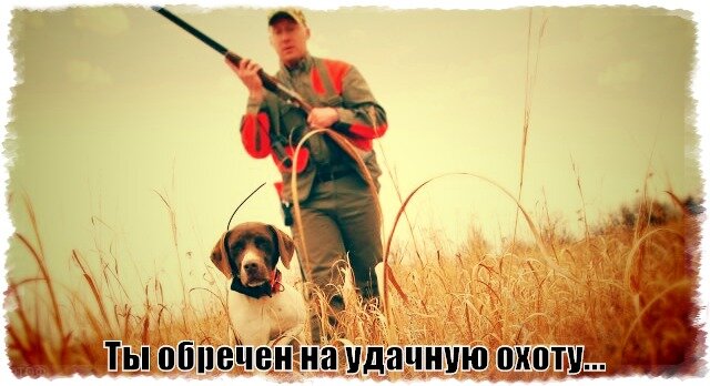 Много работы, много денег, много вариантов, много возможностей...