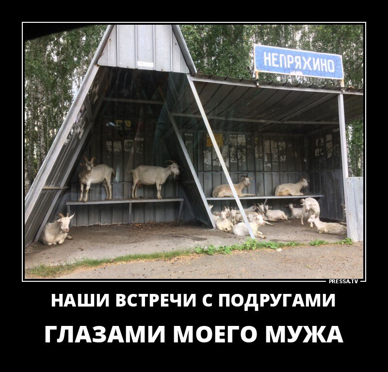 Яндекс.Картинки