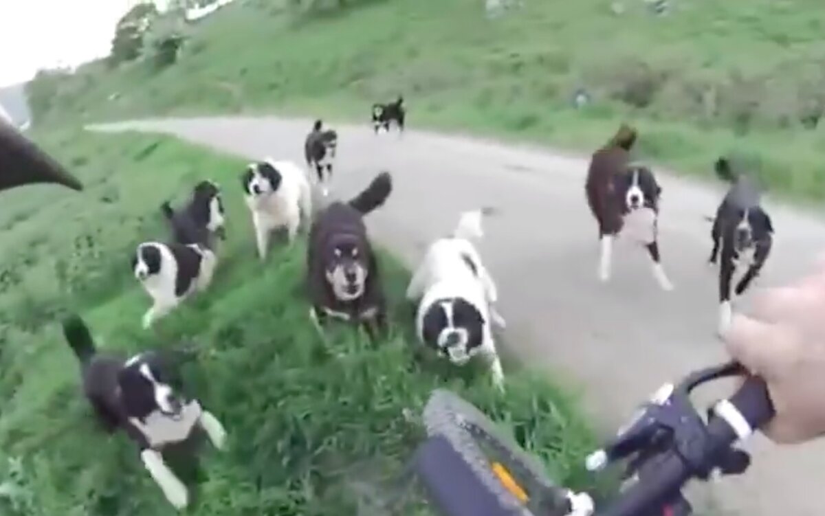 Когда я увидел данное фото, у меня вдруг появилась паника и страх)