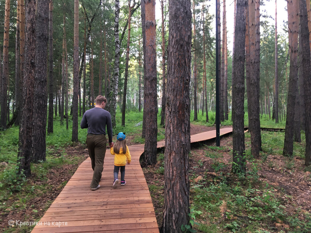 Прогулки по лесу Сыктывкар