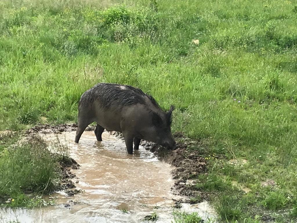 Фото: Мосприрода