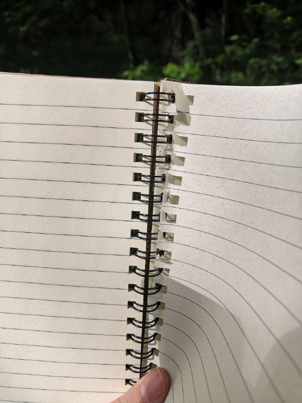 Фото из личного архива, и оно уже не посвящается сыщикам из Дзена - хватит с них посвящений, не того полета птицы. 