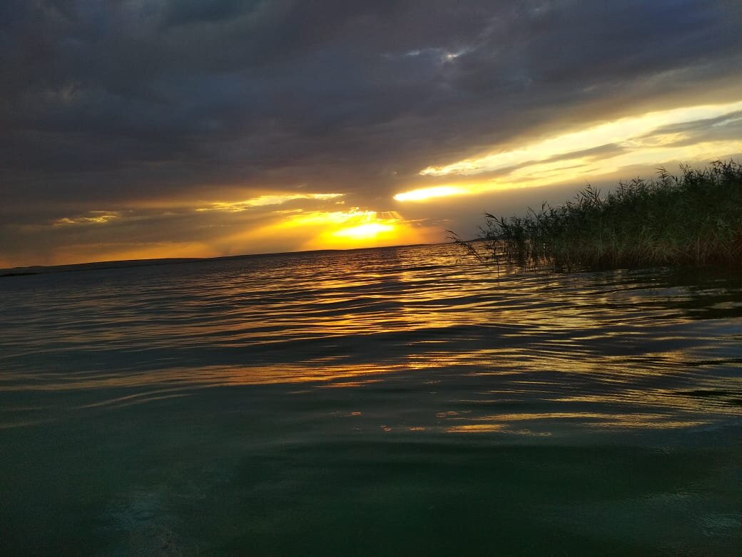 Красота