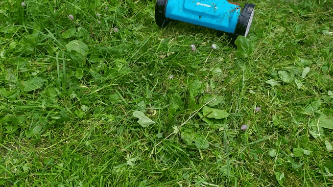 Косим высокую, слежавшую траву.