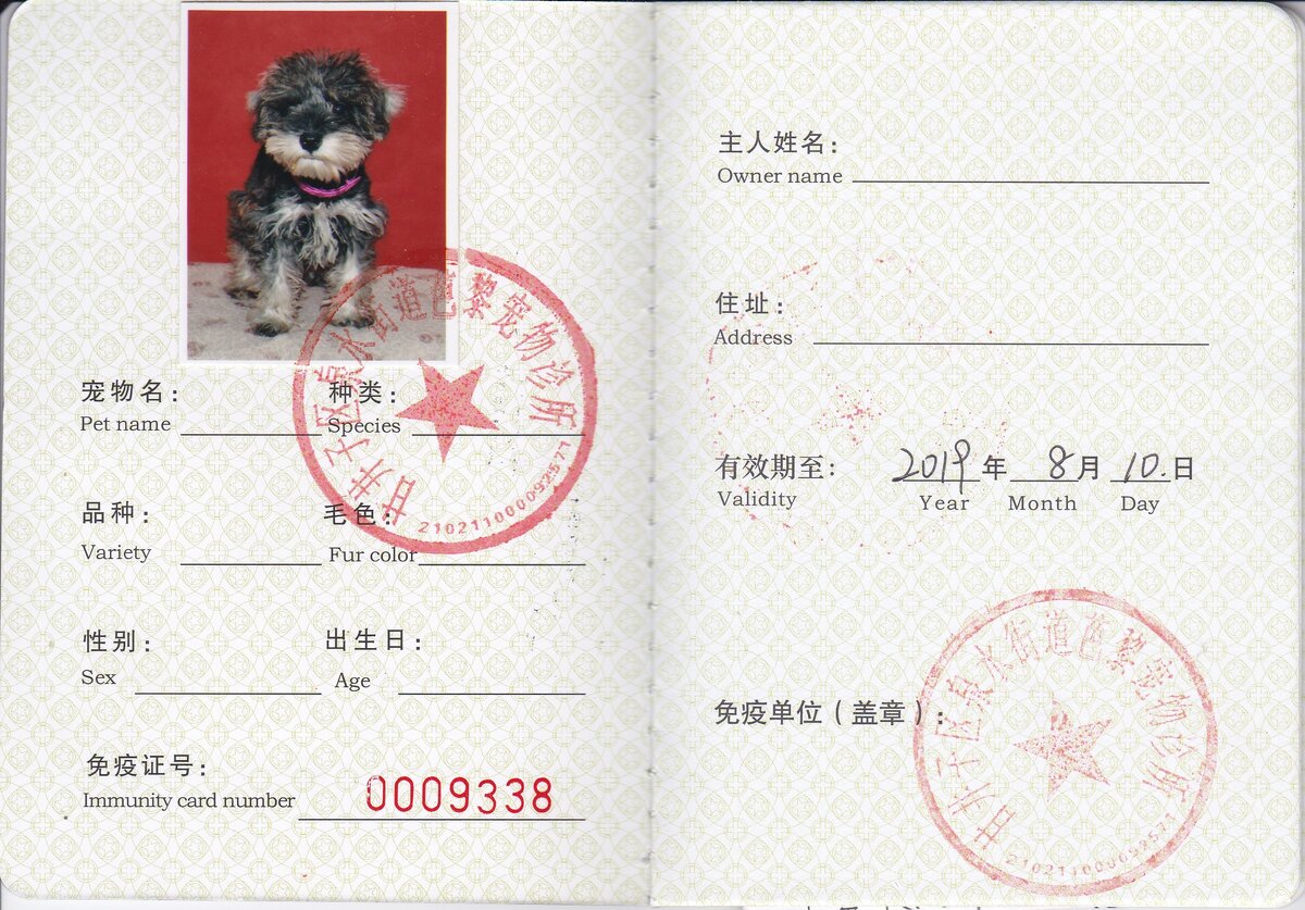 Паспорт собаки