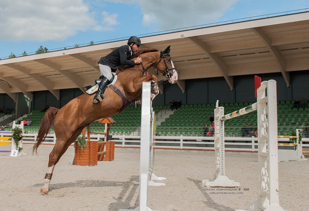 Верховая 1 6. Даниэль Гольдштейн конкур. Лошадь прыгает. Конкур конный спорт. Рыжая лошадь прыгает.