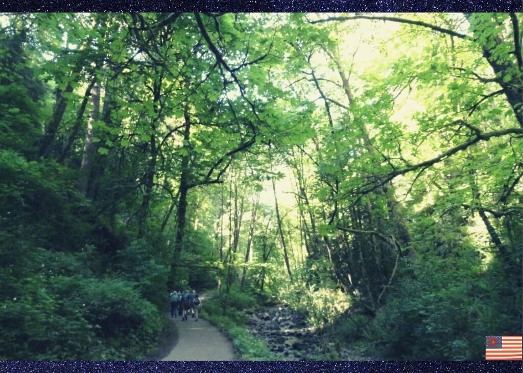 Цель таких прогулок-идти быстро. Кардио тренировка. Но я постоянно отставала, так как фотографировала. 