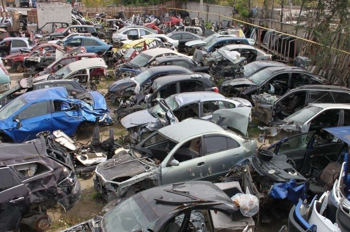 Фотография из открытого источника Google.com