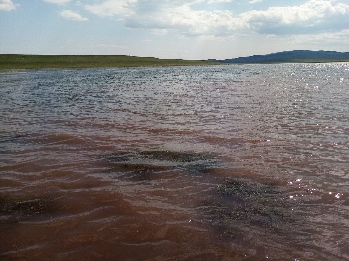 озеро баланкуль в хакасии