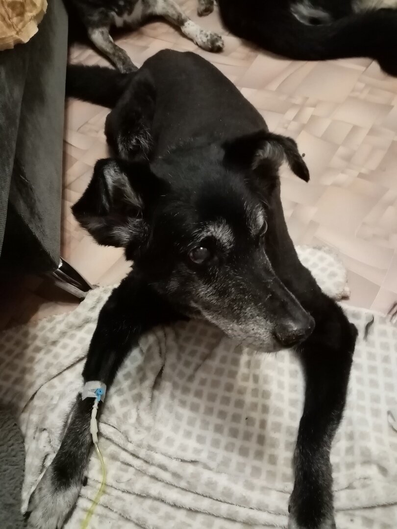 на 9 день разодрал катетор- полегчало видимо