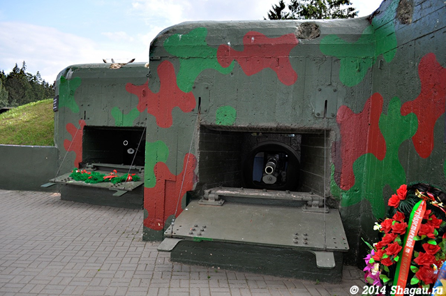 Артиллерийский полукапонир «Линии Сталина». Фото с Яндекс-картинок