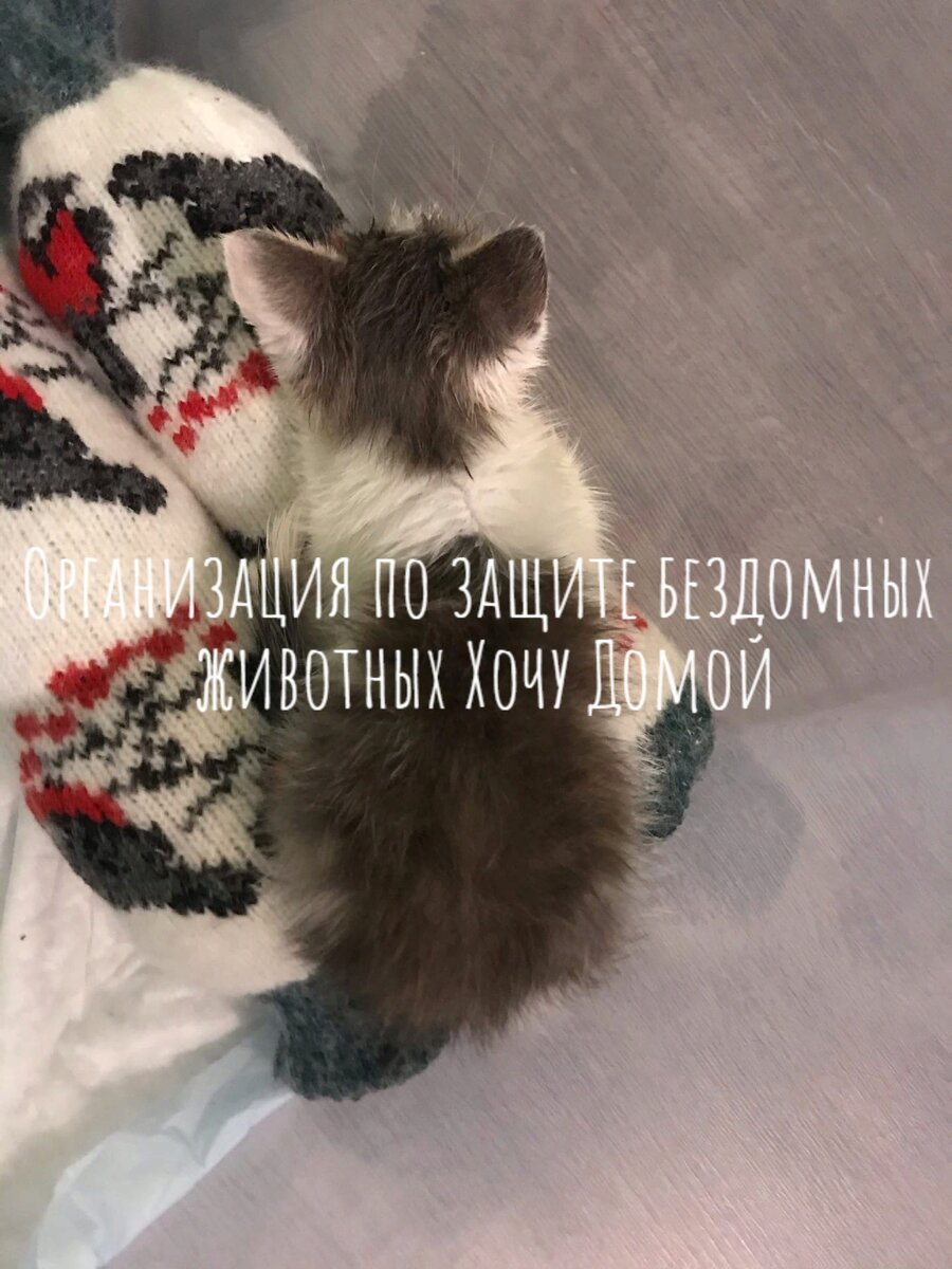 Греется на бутылочке