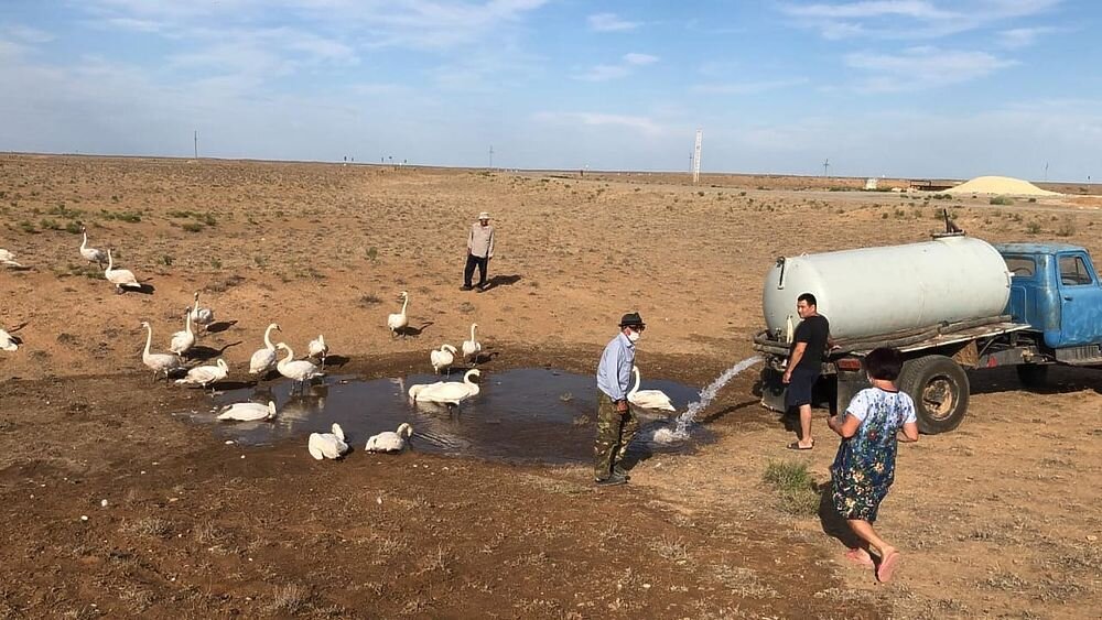 из интернета