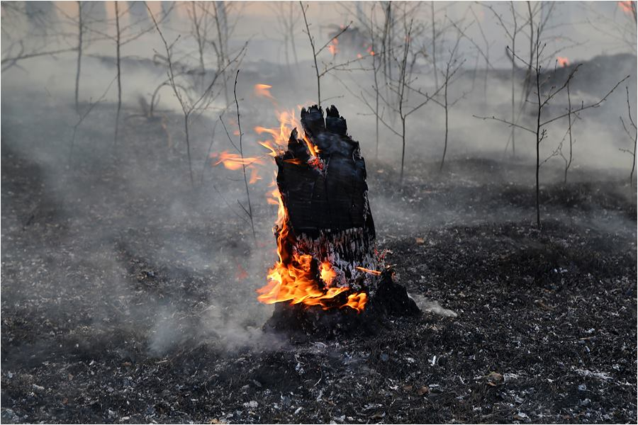 Торф сжигание. Самовозгорание торфа. Горящие торфяники. Торф горит. Торфяные пожары.