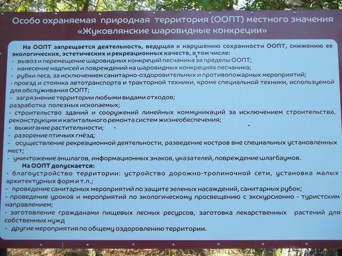 Несмотря на строгий запрет