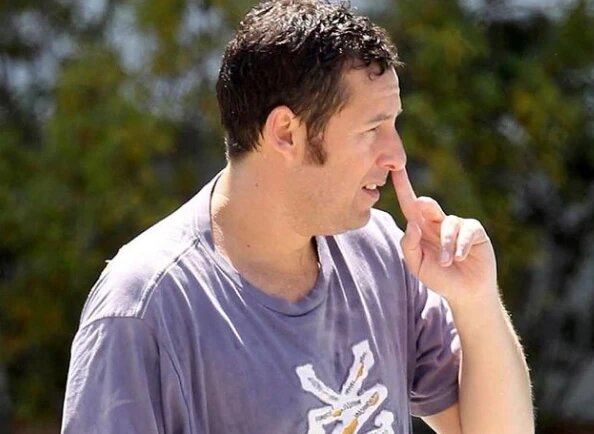 Фото взято из открытого источника Яндекс Картинки