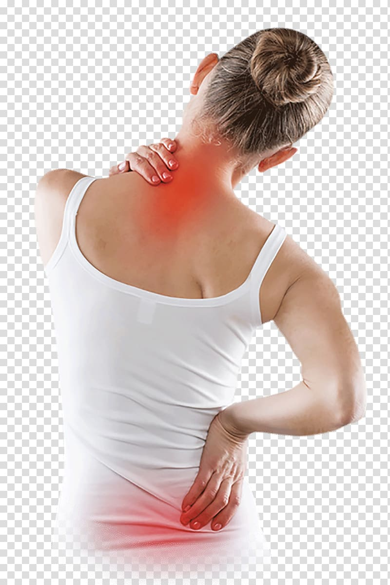 Фото с Hotpng.com