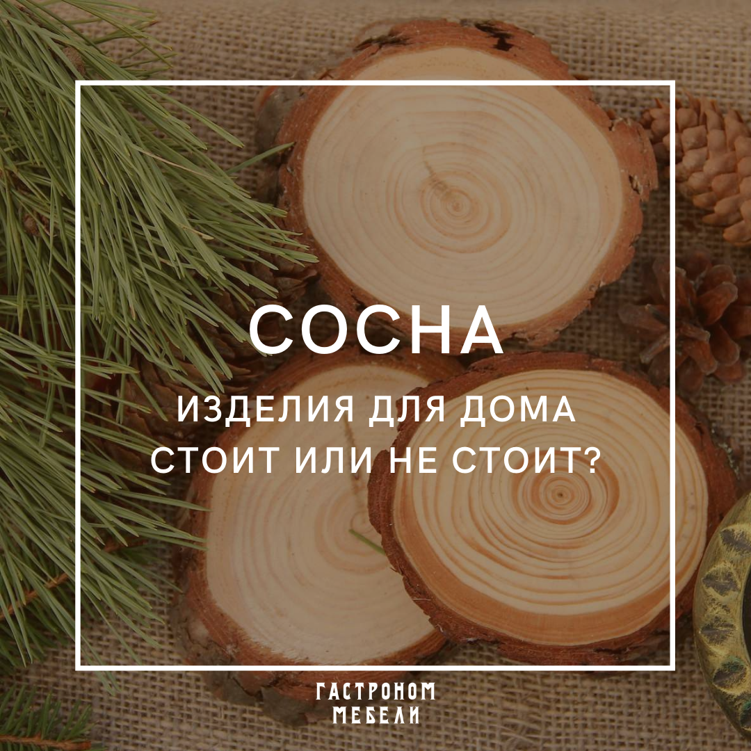 Дуб или сосна – что лучше для изготовления мебели?