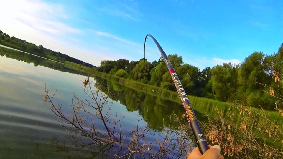 Удочка на карпа