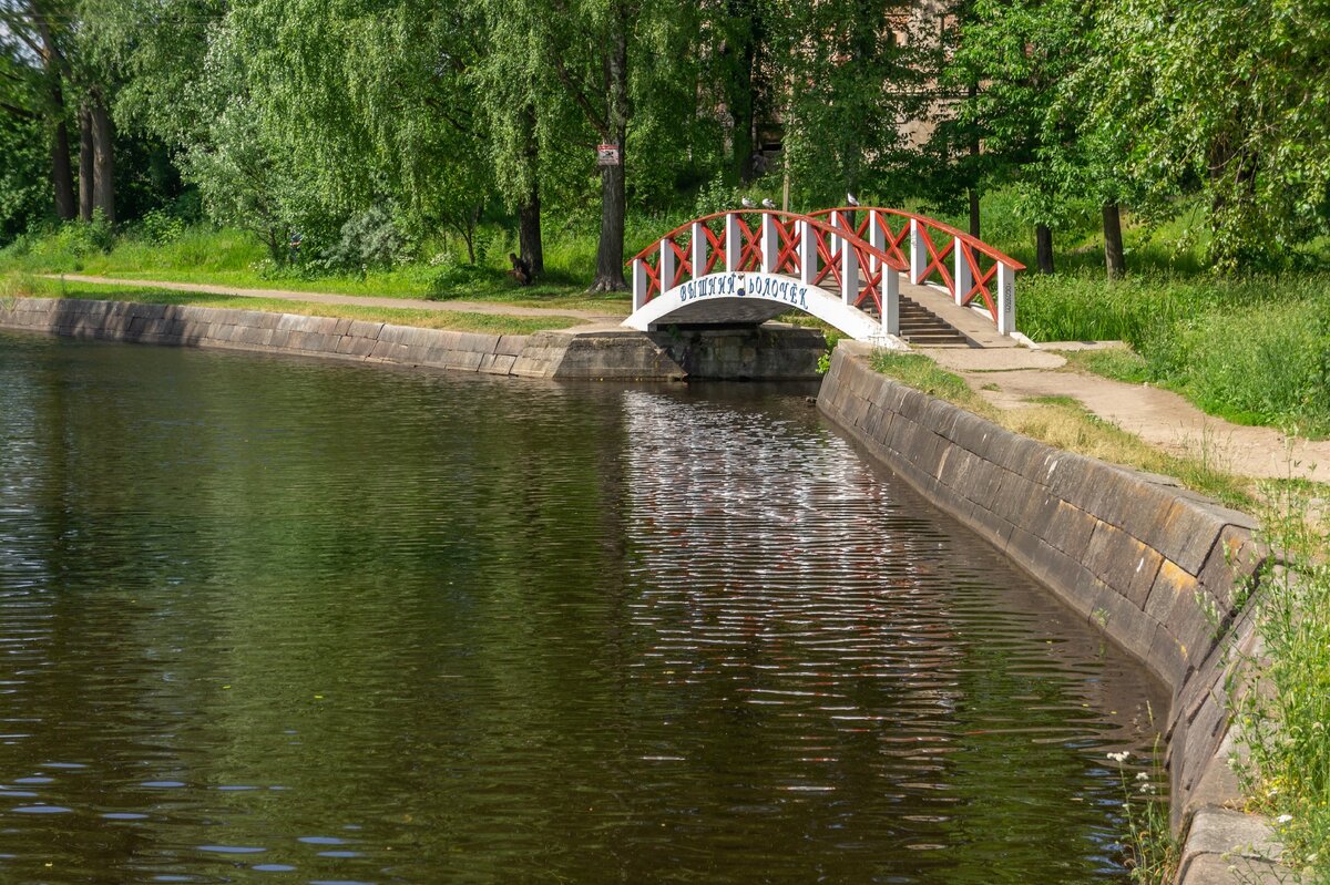Вышний волочок питер. Вышний волочок питер. Чайка вышний волочек. Вышний волочок питер. Вышний волочек гранитная набережная.