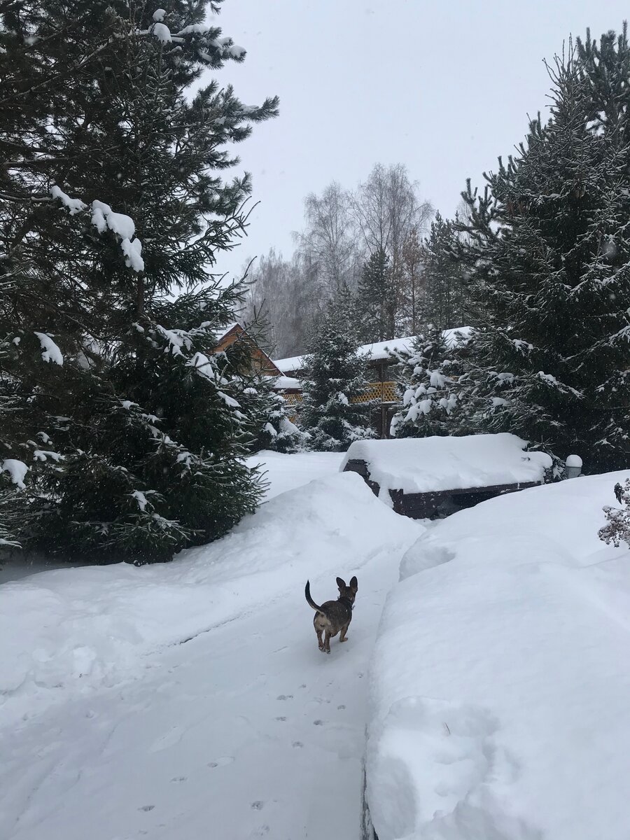База Акватория, Ялуторовск 