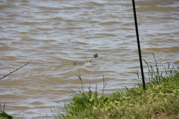 Академка творит чудеса.