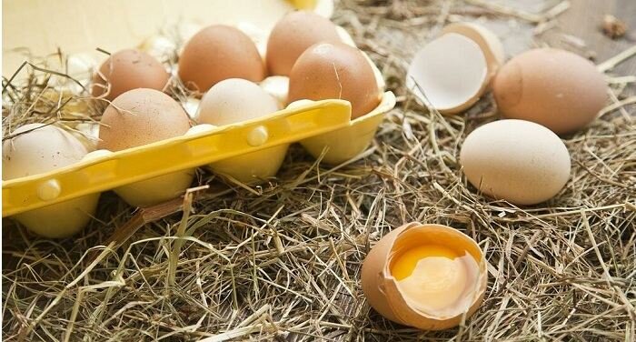 К чему снятся куриные яйца по соннику: толкование снов про яйца