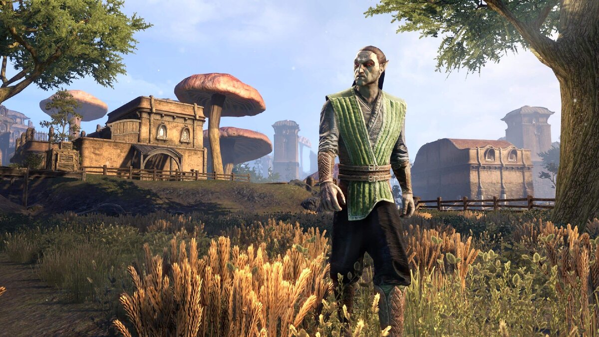 Не принадлежать к какому-либо дому для Данмера — позор