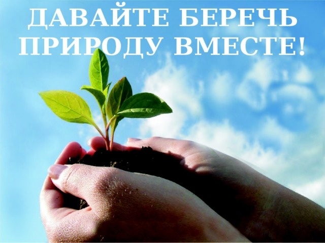 
Берегите природу!

Не для кого уже сейчас не является секретом то, что мы сейчас с вами живем в эпоху больших экологических проблем. Все явней становится проявление того, что на нашей планете все меньше остается растений и животных. И в большинстве случаев в этом виноваты мы с вами. Проблема экологии – одна из глобальных проблем человечества на Земле. Загрязнение водоемов сточными водами, загрязнение воздуха выхлопными газами машин и заводов, загрязнение лесов, парков и скверов бытовым мусором…. Это всего лишь маленький перечень того, как широко распространена проблема экологического загрязнения. И все чаще в голове возникает один и тот же вопрос «А можно ли этого избежать? И что нужно сделать для того, чтобы мы-люди лучше относились к святая святых - природе-матушке?»

Экологическое воспитание закладывается в нас еще в детстве, когда прогуливаясь по улице с мамой, мы бросаем бумагу на землю и после того, как мама объяснила, что этого делать нельзя, берем и поднимаем мусор и выбрасываем в близстоящую урну. Нас учат не разорять птичьих гнезд и муравейников, не рвать растения, не ломать ветви деревьев и кустарников. Мы стараемся выполнять все правила, но почему же со временем от этого проблемы не исчезают? Почему со временем перестает быть обязанностью каждого убирать за собой мусор? Почему , вырастая, человек теряет эти способности? Ведь убрать за собой мусор, не грызть семечки на улице, не бросать полиэтиленовые пакеты и пластмассовые бутылки не составит большого труда. Даже если подумать то, что каждый из нас убирает за собой все то, что он набросал, то откуда же тогда берутся горы мусора в близлежащих посадочных зонах? Откуда свалки в лесных массивах и прибрежных зонах? Не понятно…..

Природа дает человеку все самое лучшее: чистые пресные водоемы, зеленые раскидистые леса, чистый воздух. Но мы не умеем пользоваться ее благами и дарами. Мы не ценим того, что у нас есть. Не умеем воспринимать природу такой, как она была вначале, не умеем беречь то, что нам она дала. Мы вырубаем леса, для того, чтобы построить себе красивые и теплые дома, ведь дерево-это самый качественный для этого материал; вырубать-то мы вырубаем, а вот обратно вернуть посаженный саженец не все способны. Ежегодно уничтожаются сотни гектаров зеленых насаждений и лесных массивов. Научные сотрудники WRI и специалисты Мэрилендского университета и компании Google сообщают, что по подсчетам Россия является мировым лидером по уничтожению леса. Таким образом, ежегодно в России погибает 4,3 млн. гектаров леса. Основные причины этому: добыча полезных ископаемых, пожары, которые возникают по вине человека, вырубка лесов, а также расчистка леса для сельскохозяйственных нужд и промышленных выбросов. 

Где бы ни был человек, он везде оставляет неизгладимые раны природе и наносит огромный вред нашей Земле. Человеческая жестокость по отношению к Калдеронским дельфинам, массовые уничтожения диких косуль, кабанов и благородных оленей, рыболовство во время нереста…. Это лишь малые примеры того, как человек обращается с природой

За последние 500 лет вымерло 844 вида животных и растений. В основном, это по вине человека. Человек целенаправленно истребляет эти виды в результате отстрела, уничтожения отравленными приманками для того, чтобы получить ценный мех, шкуру, кожу, мясо или же просто ради удовольствия. Человек губит растения природы, вырывая их целыми охапками, а затем выбрасывает. Большое количество лесов уничтожается из-за костров, которые остались непотушенными.

Известно, что на Земле около 350 тысяч видов растений и около 1,5 миллионов животных. Из них в Красную книгу занесено около 15,589 видов животных и растений (данные из Интернета на 2008 г.).Человеку доверено любоваться красотой окружающей природы: горами, лесами, реками с их многочисленными обитателями , и жить в ней. На минуту представьте, что станет с Землей, если: исчезнут птицы с их веселым пением, исчезнут травы и деревья, цветы и кустарники…. Исчезнет все живое на Земле…Тогда исчезнет и сам человек. Планета станет безжизненным небесным телом. Этого нельзя допустить! Оглянитесь вокруг себя: красоты и великолепие природы окружающей нас могут быть вечными, н это зависит от каждого из нас. Соблюдение элементарных правил поведения в природе поможет сохранить ее и приумножить ее богатства. Берегите природу, относитесь к ней с любовью и тогда она ответит тем же. Ведь природа устроена так, что если ей не нравится обращение с ней, то она накажет сурово. Вдумайтесь, ведь каждому из нас приятно прогуляться по лесу, в котором нет мусора; приятно нежиться в чистом озере или речушке, где нет разбитых бутылок, где чистая хрустальная вода, сквозь гладь которой видно дно с растениями и животными; всем нам нравится дышать чистым и свежим воздухом, в котором нет примесей серы и газа, который наполнен свежестью зелени, трав и цветов. Каждый из нас в ответе за свое отношение к природе. Давайте будем внимательными к ней и тогда жить станет проще.





