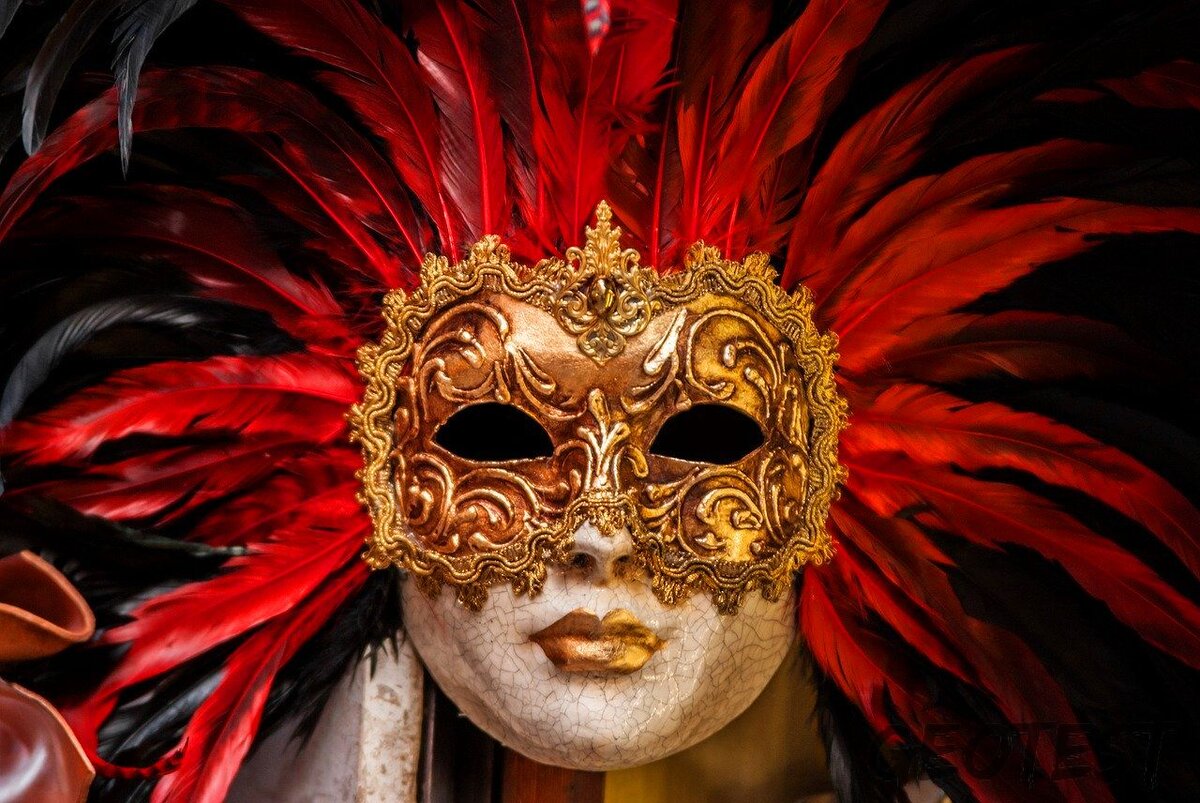 фотография с открытого банка pixabay.com