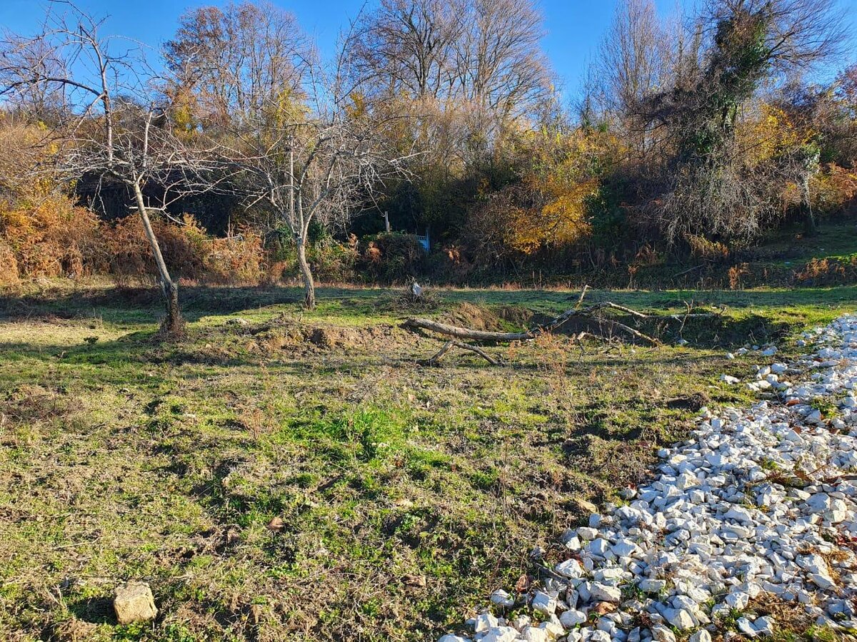 Это вполне обычный, даже хороший (потому что ровный)  участок земли в Сочи. 4,3 сотки, 2,5 млн. 