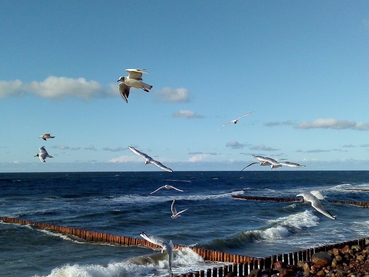 Балтийское море.                                                      photo Natasha Mazurina