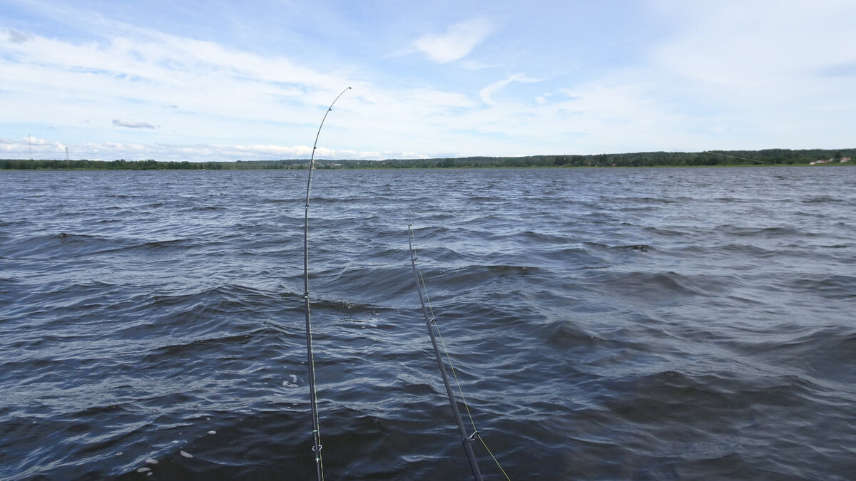 Троллинг свирь. Рыбацкий катер. Троллинг на озере. Троллинг на катере. Троллинг на озере.